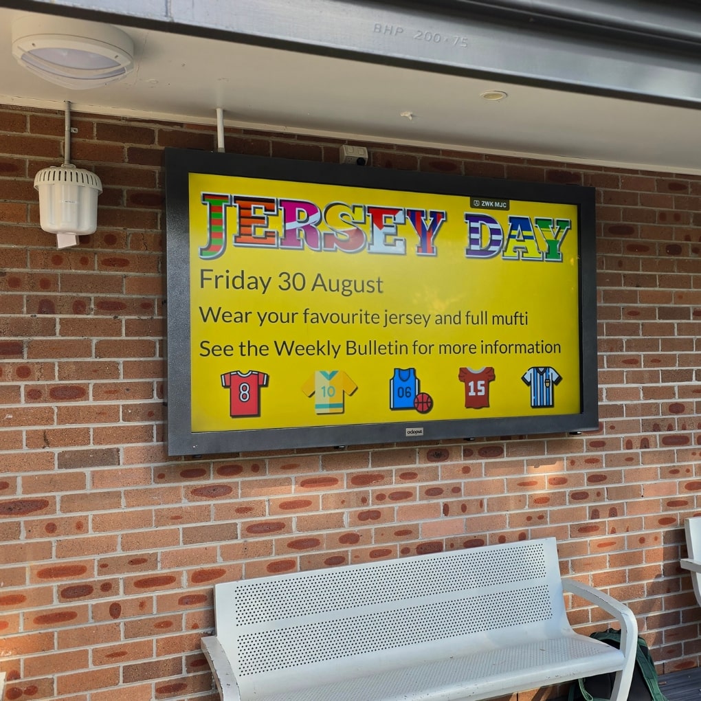 tvenclosures outdoor (5)