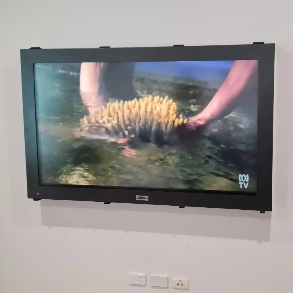 Indoor TV Enclosures