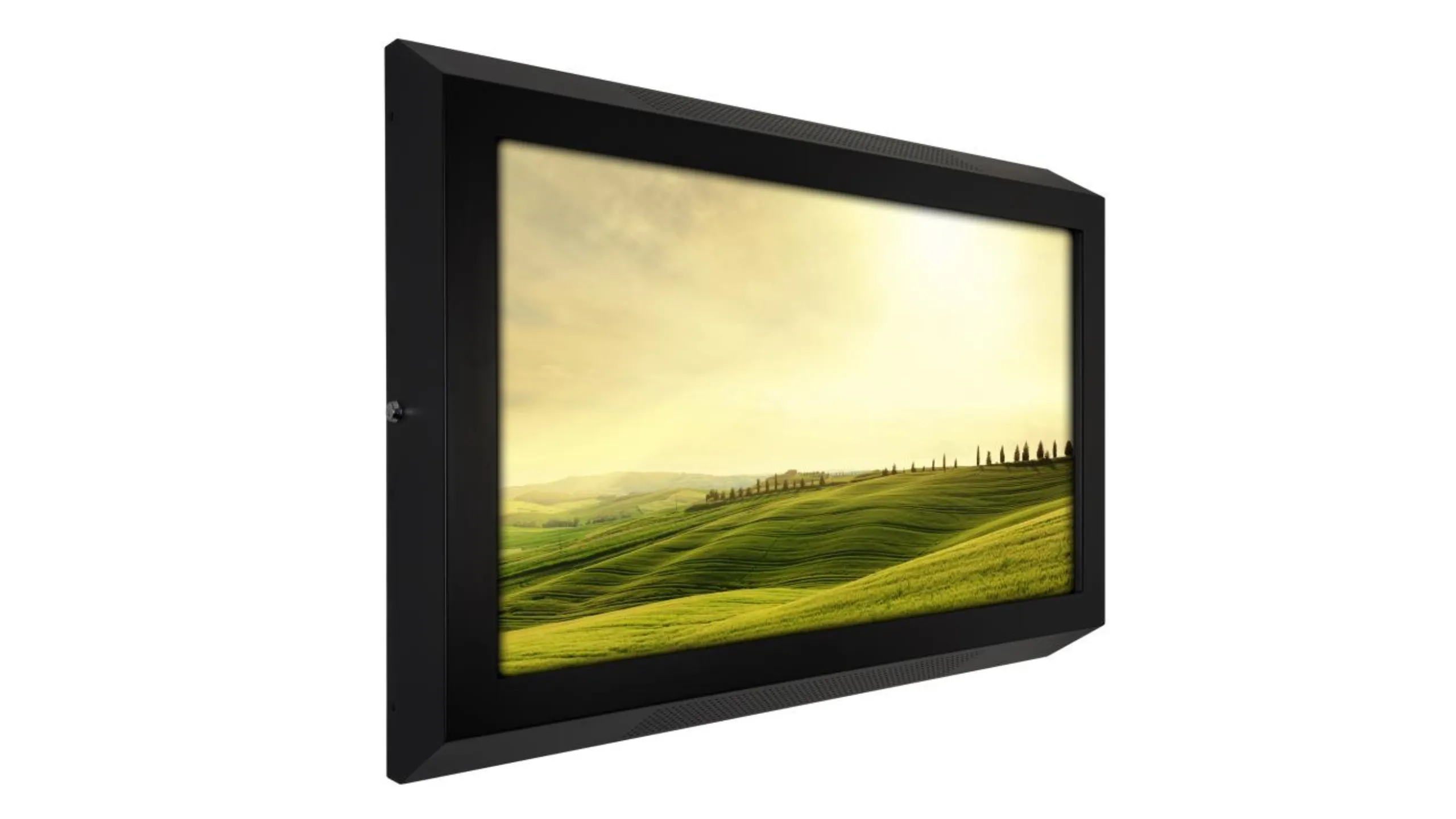 Anti-Ligature TV Enclosure
